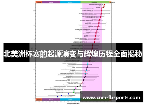 北美洲杯赛的起源演变与辉煌历程全面揭秘 北美洲杯赛的起源演变与辉煌历程全面揭秘