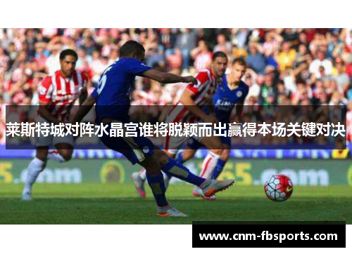 莱斯特城对阵水晶宫谁将脱颖而出赢得本场关键对决 莱斯特城对阵水晶宫谁将脱颖而出赢得本场关键对决
