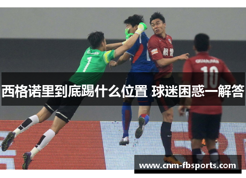 西格诺里到底踢什么位置 球迷困惑一解答 西格诺里到底踢什么位置 球迷困惑一解答