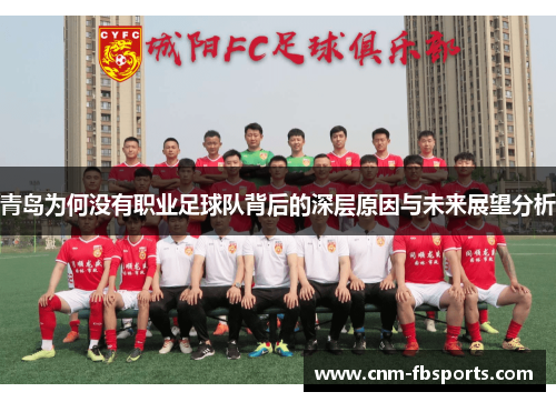 青岛为何没有职业足球队背后的深层原因与未来展望分析