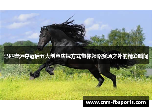 马匹奥运夺冠后五大创意庆祝方式带你领略赛场之外的精彩瞬间 马匹奥运夺冠后五大创意庆祝方式带你领略赛场之外的精彩瞬间