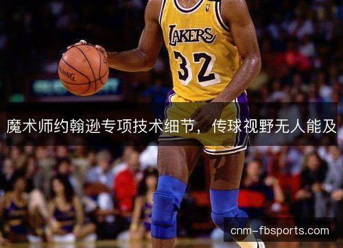 魔术师约翰逊专项技术细节，传球视野无人能及